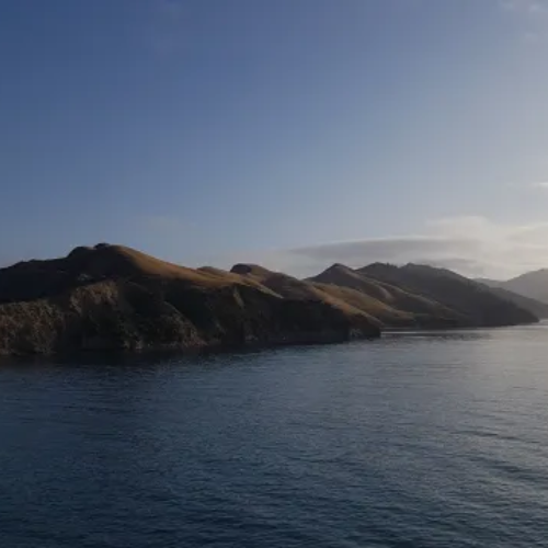 wellington-to-auckland